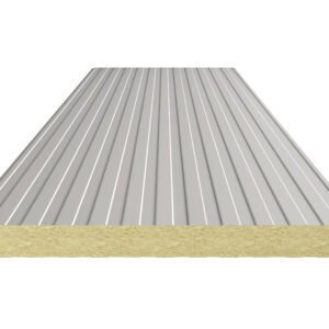 Panou Sandwich TerraSteel cu Vata Bazaltica Perete 100mm RAL9002 - 1mp